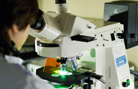 Future-proof your diagnostic workflows with our expanded range of CytoCell IVDR-certified FISH probes Image