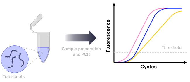 Figure 2. PCR-based detection of MRD.