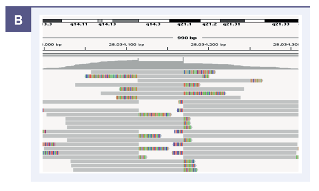 Figure 4b. Shows a subset of the supporting clipped reads