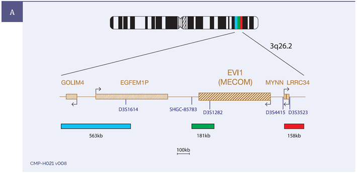 CytoCell MLL (KMT2A) Breakapart FISH Probe