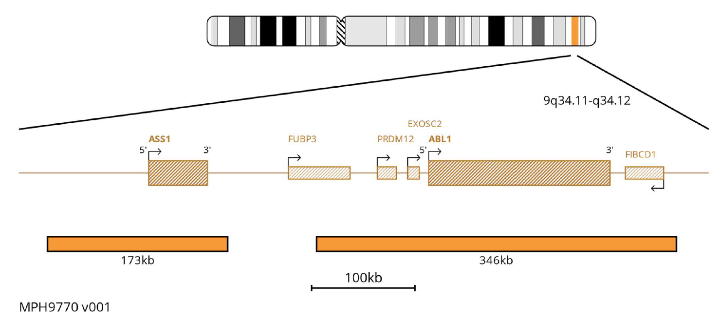 myProbes BCR/ABL Translocation in Orange FISH Probe | OGT