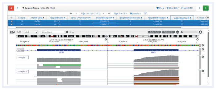 Figure 3. SureSeq Interpret NGS Analysis Software displaying KMT2A-MLLT3 fusion in 2 research samples