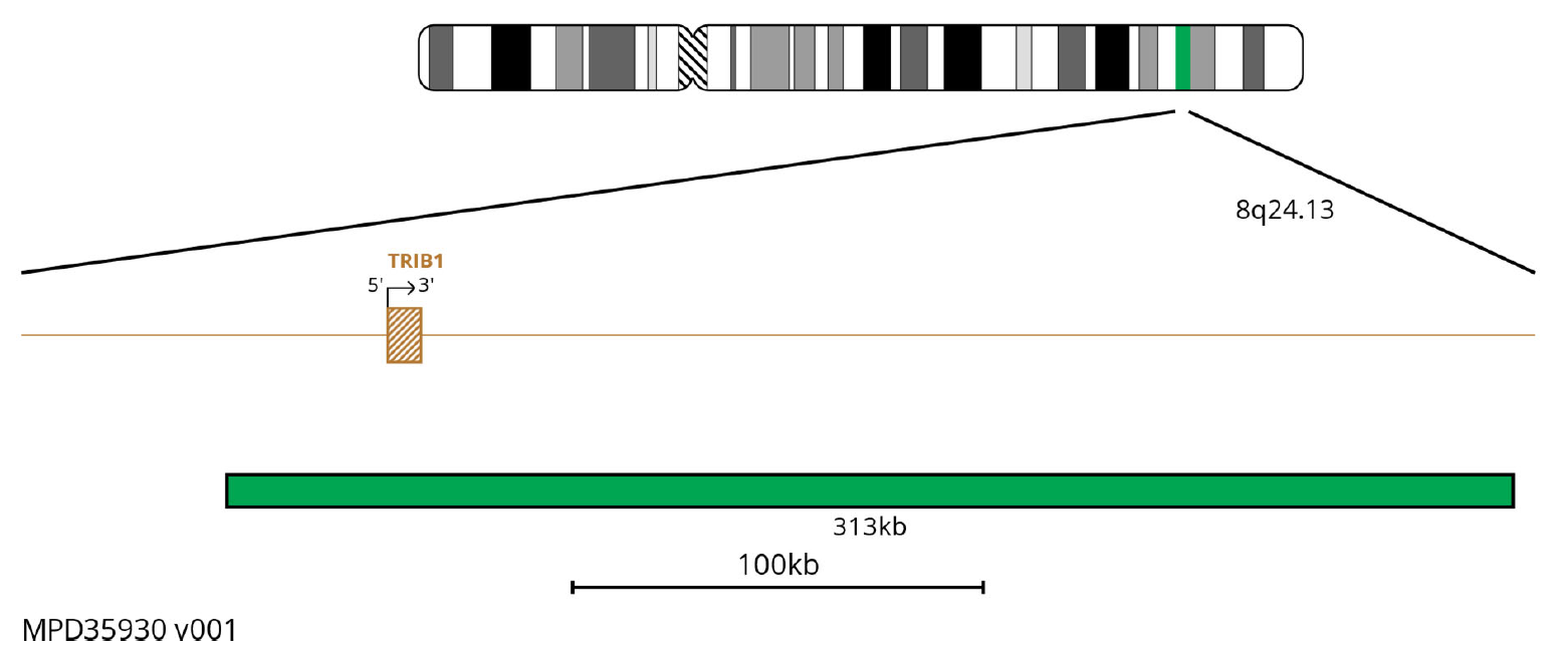 myProbes RNLS/TRIB1 Amplification FISH Probe | OGT