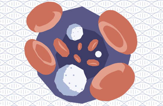 A complete myeloid malignancy NGS research portfolio Image