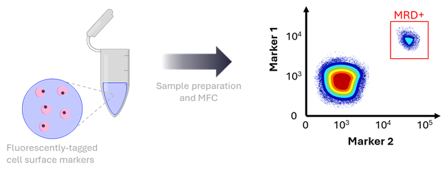 Figure 3. MFC-based detection of MRD.