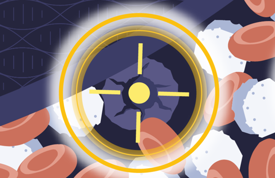 Innovative NGS myeloid malignancy solutions Image