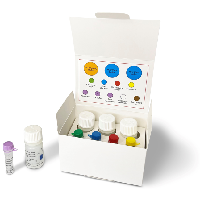 Library preparation Image