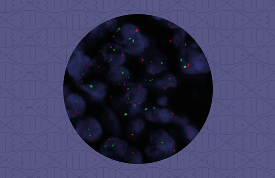 Time to update your ALL research workflow? Image