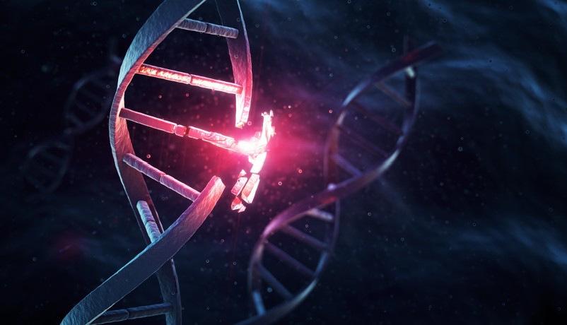 U.S. Food and Drug Administration authorises CytoCell KMT2A Breakapart FISH Probe Kit PDx as a new companion diagnostic for KMT2A rearranged acute leukaemia  Image