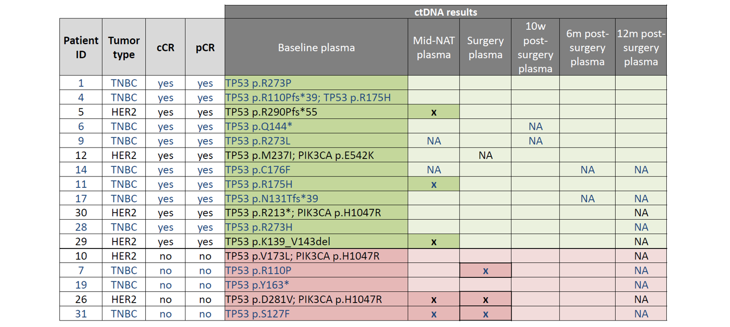 <b>Table 2:</b> Results of longitudinal ctDNA analysis. <i>TP53</i> and <i>PIK3CA</i> mutations identified in plasma at baseline (pre-NAT) are listed under “baseline plasma” in the table above. These mutations were assessed again at multiple time-points: mid-NAT, post-NAT (“surgery”), and at 3 time-points post-surgery (10w, 6m, and 12m). Samples with ctDNA detected are indicated by an “x”, whereas samples determined to be ctDNA negative are indicated by blank cells. “NA” denotes samples that were not available for analysis. TNBC patients indicated in blue text; <i>HER2+</i> patients indicated in black text. Green highlighted cells indicate patients with cCR; Pink highlighted cells indicate patients with NO cCR.