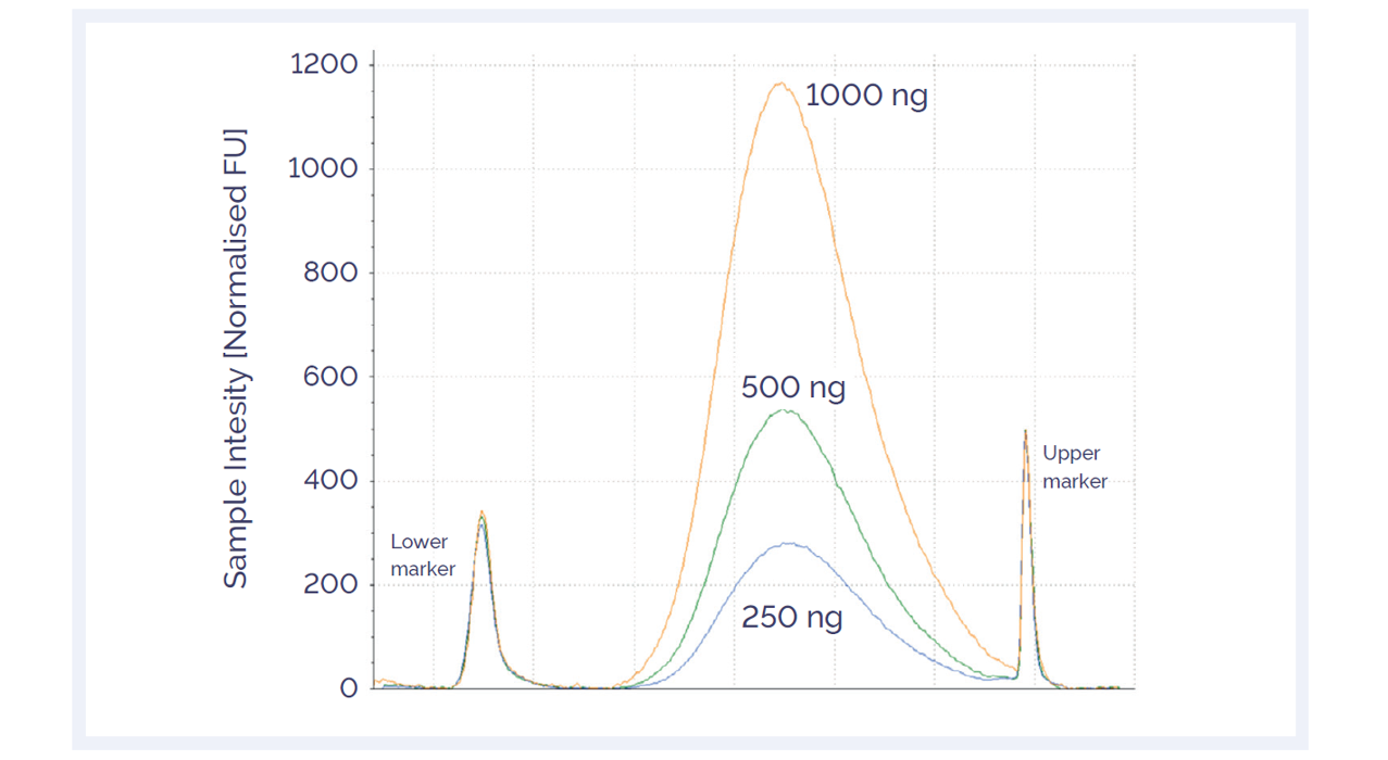 <b>Figure 1:</b> Agilent TapeStation™ trace of enzymatically sheared good quality DNA. Master mix preparation and sample handling, including AMPure<sup>®</sup> purification, were performed on the Bravo instrument. The fragment sizes generated ranged from 150–250 bp regardless of amount of starting DNA. The recommended fragment size for the SureSeq NGS range is 150–250 bp.