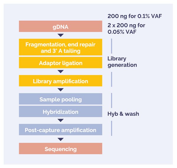 Figure 1. DNA to sequencer in 1.5 days with minimal handling time