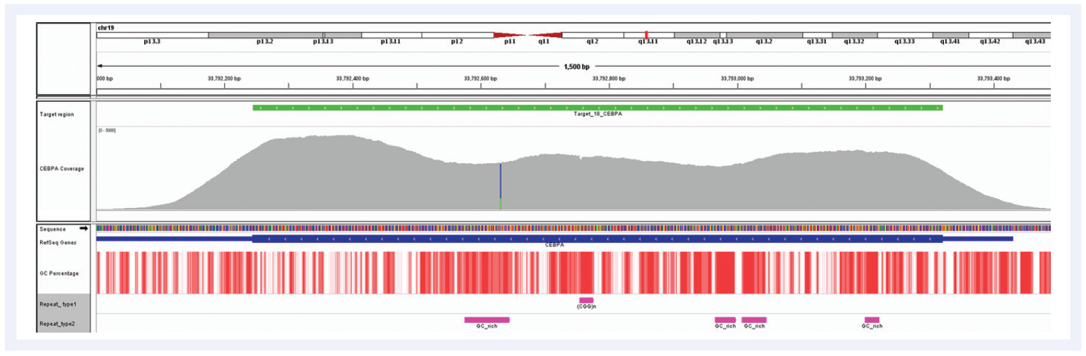 <b>Figure 6:</b> Despite the very high GC content of the <i>CEBPA</i> gene and the number of repeat regions, hybridisation enrichment coupled with expert bait design can still achieve excellent results. Depth of coverage per base (grey). Targeted region (green). Gene coding region as defined by RefSeq (blue). GC percentage (red). Repeat regions, and those rich in GC (pink). Data generated using SureSeq myPanel™ custom content.
