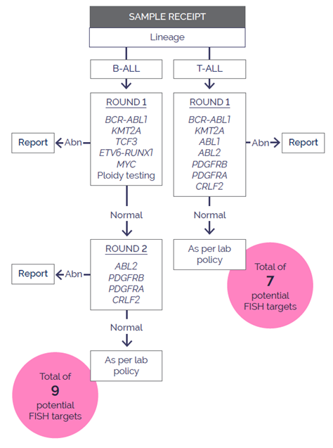 Figure 1. Acute lymphoblastic leukaemia FISH test algorithm