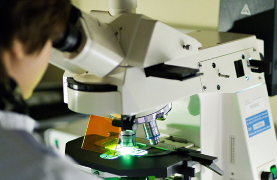 Fluorescence in situ hybridisation (FISH) laboratory scientist uses a fluorescence microscope to analyse a result.